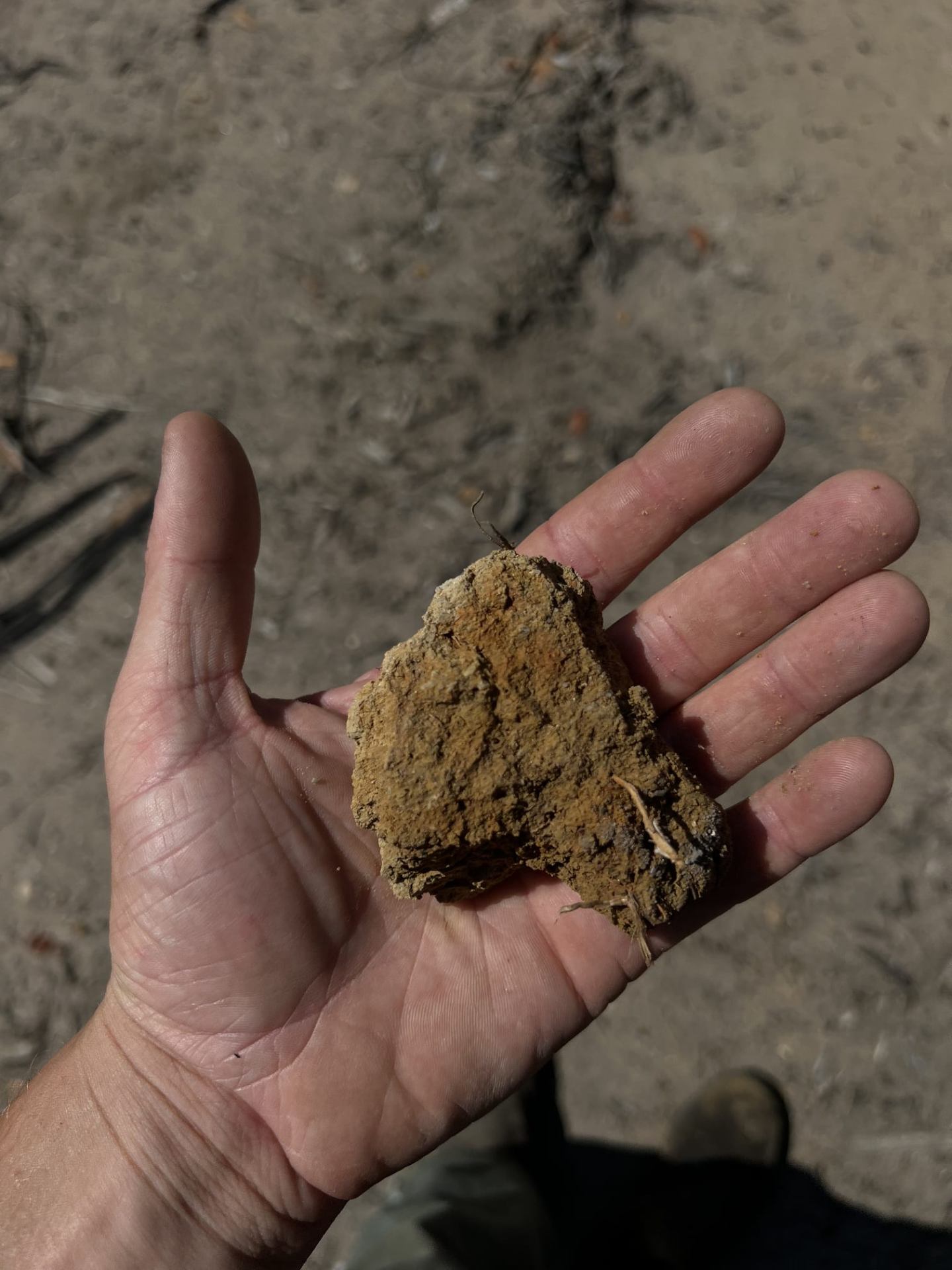 Greau Lab material research — cohesion process in regenerative design