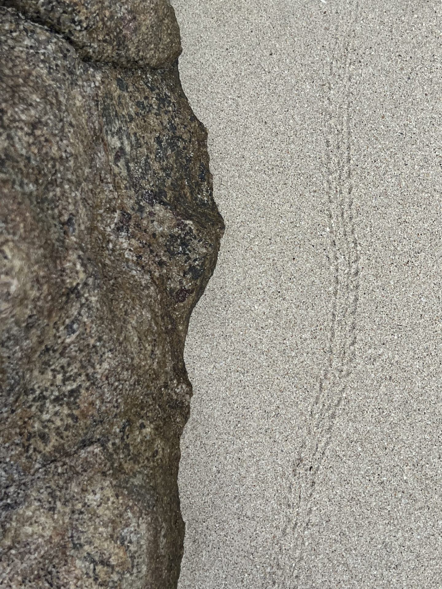 Greau Lab material research — intention process in regenerative design