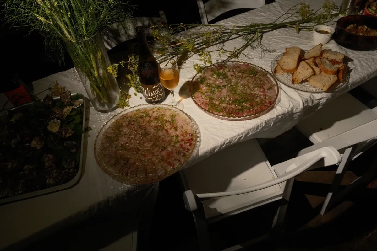 Greau Forage ecological workshop — native food foraging and bush food education, Illawarra NSW