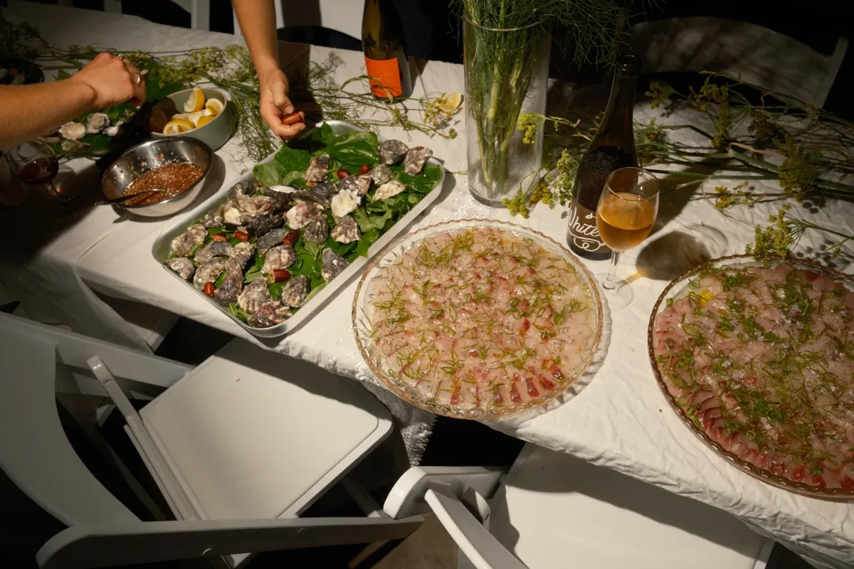 Greau Forage ecological workshop — native food foraging and bush food education, Illawarra NSW
