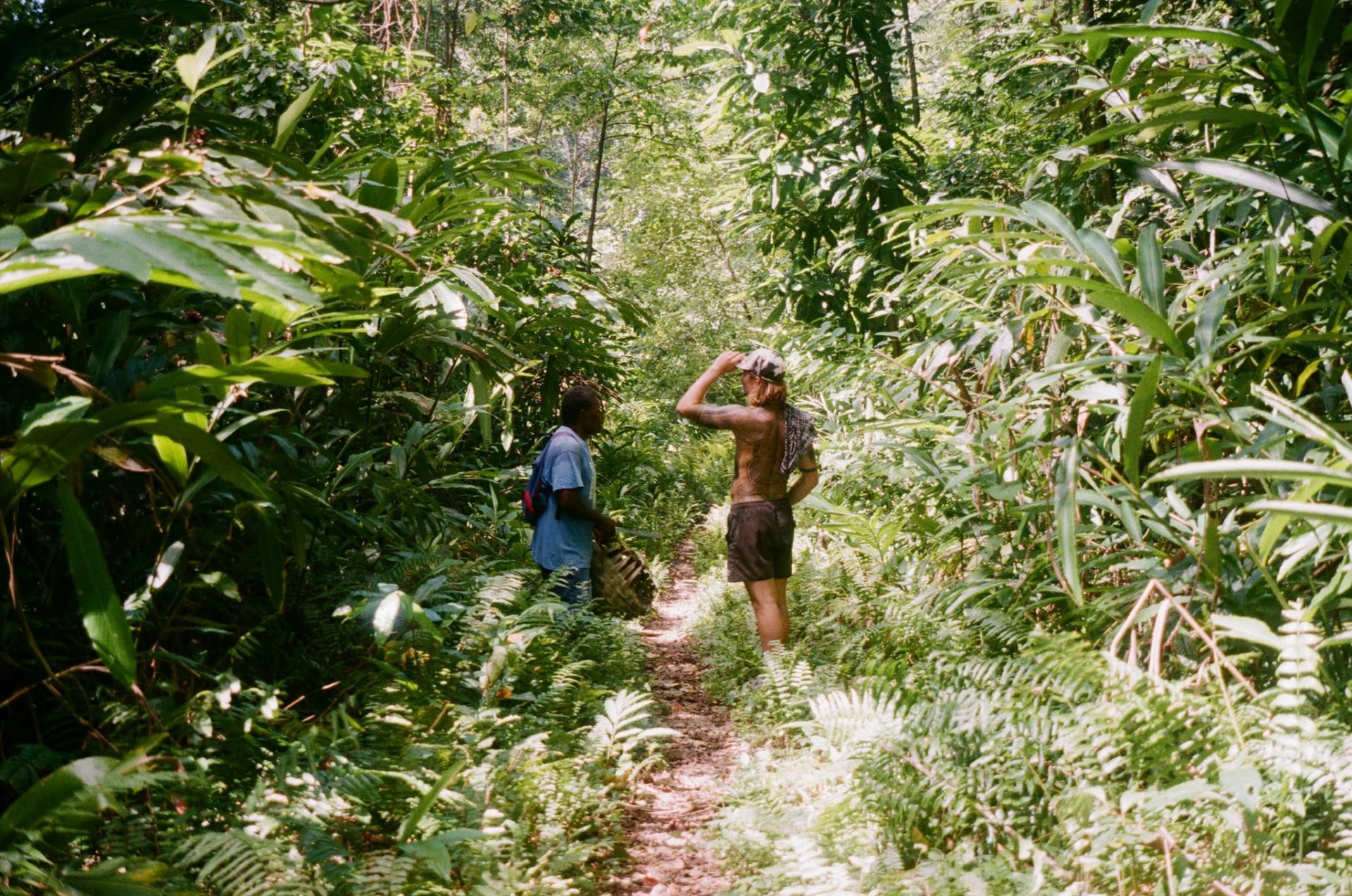 Greau Forage ecological workshop — native food foraging and bush food education, Illawarra NSW