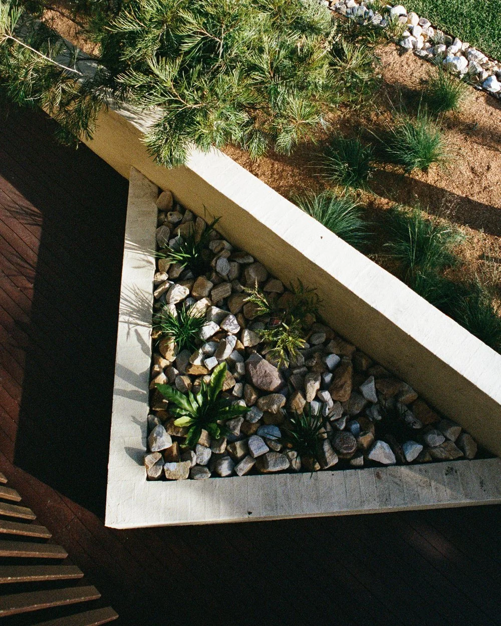 Sandon Point — regenerative landscape design project by Greau Studio, Illawarra NSW