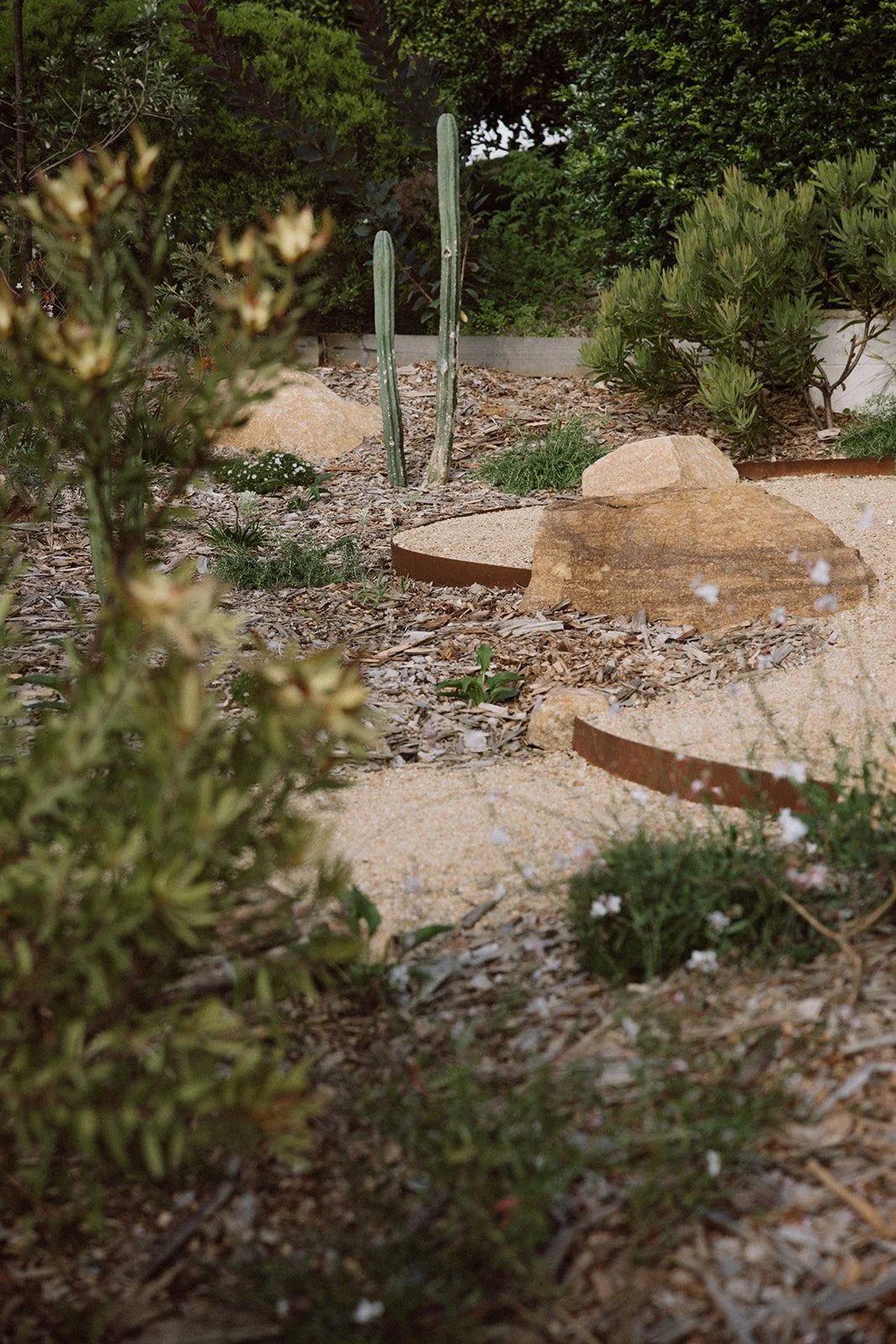 Palmyra Project — regenerative landscape design project by Greau Studio, Illawarra NSW